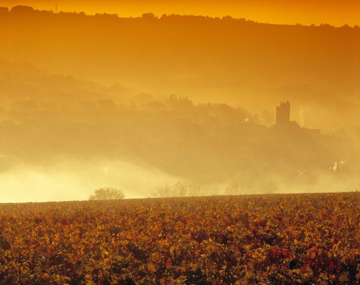 Irancy en images - Syndicat des viticulteurs d'Irancy