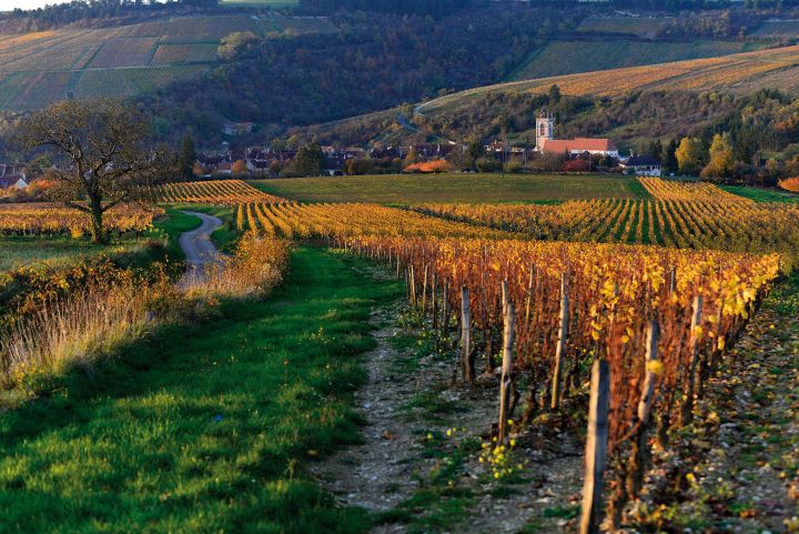 Irancy en images - Syndicat des viticulteurs d'Irancy