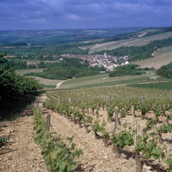 Irancy en images - Syndicat des viticulteurs d'Irancy