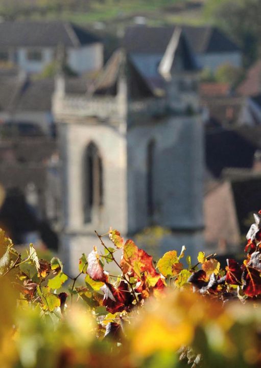 Irancy en images - Syndicat des viticulteurs d'Irancy