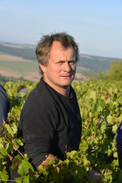 William Charriat - Syndicat des viticulteurs d'Irancy