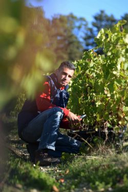 Domaine Garlan Brice - Syndicat des viticulteurs d'Irancy