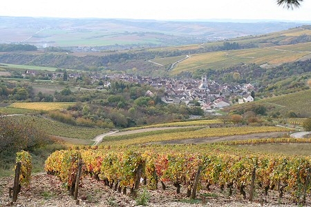 Syndicat des Vignerons d'Irancy